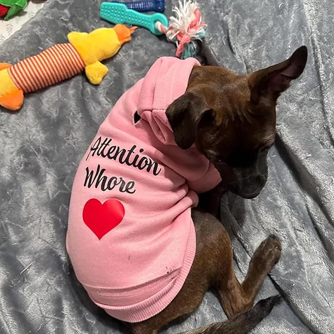 Custom Text & Logo Dog Hoodie, Embroidery Pet Sweaters for Small Dogs, Customized Pet Clothes Warm Winter Outfit for Dogs, Bright Puppy Sweatshirt, Pets Birthday Outfit, Dog Lovers Gifts