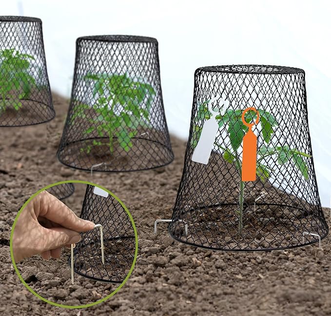 10 Pcs Chicken Wire Cloche Plant Covers Garden Netting Metal Heavy Duty Plant Protectors from Animals for Keeping Bunnies Chicken Squirrels Birds Other Out 9.13×9.13 in