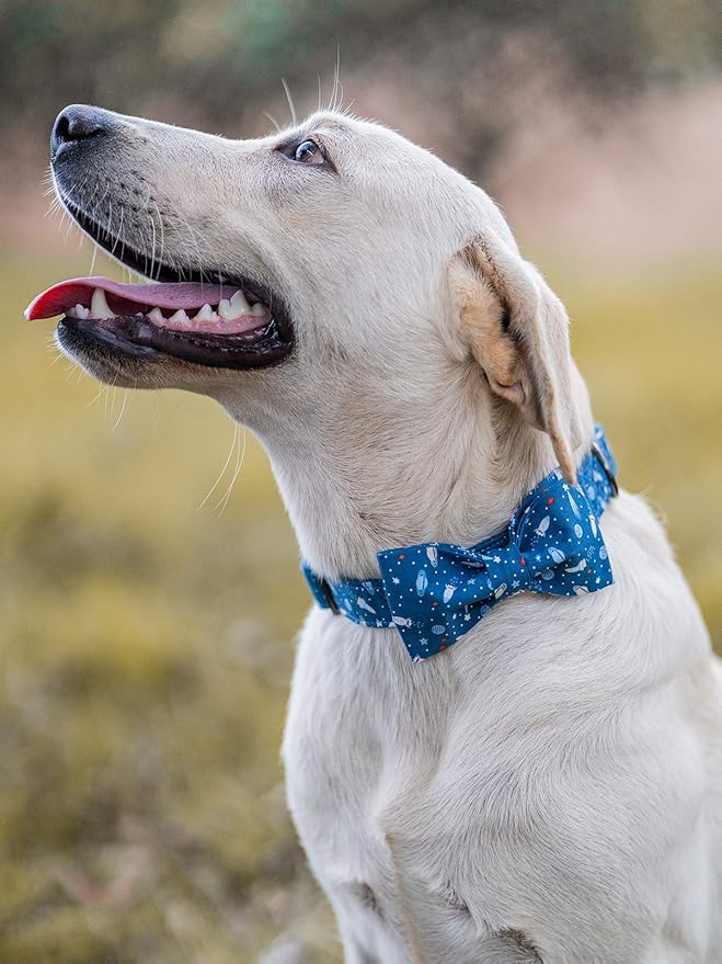 Elegant little tail Dog Collar with Bow, Cotton & Webbing, Bowtie Dog Collar, Adjustable Dog Collars for Small Medium Large Dogs and Cats