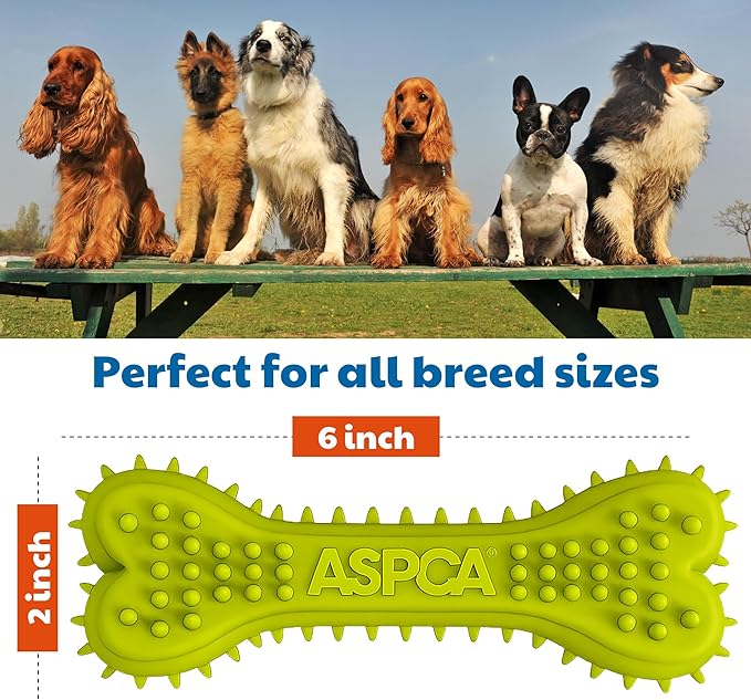 ASPCA 2-Pack Spiky TPR Puppy Teether Bones – Vanilla-Scented Teething Toys for Gum Relief, Gentle Chewing & Interactive Play