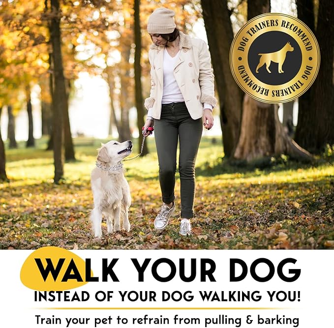 PetJett ProTrainer Prong Collar for Dogs - Choke Collar for Dogs, Pinch Collar for Dog Adjustable No Pull Training Collar for Small Medium Large Dog - Safety Durable Stainless Steel Metal Choker Chain