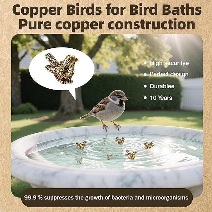 6 Pcs Copper Bath Disks Ornaments Mini Bird Shape, Retro Copper Birdbath Purification Cleaner, Fit for Outdoor Birdbaths, Bowls