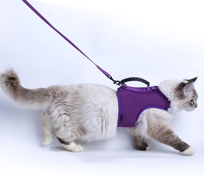 Cat Harness and Leash for Walking Escape Proof Breathable Mesh Fabric, Purple, Extra Large, Adjustable Cat Walking Jackets with Handle, Padded Stylish Cat Vest