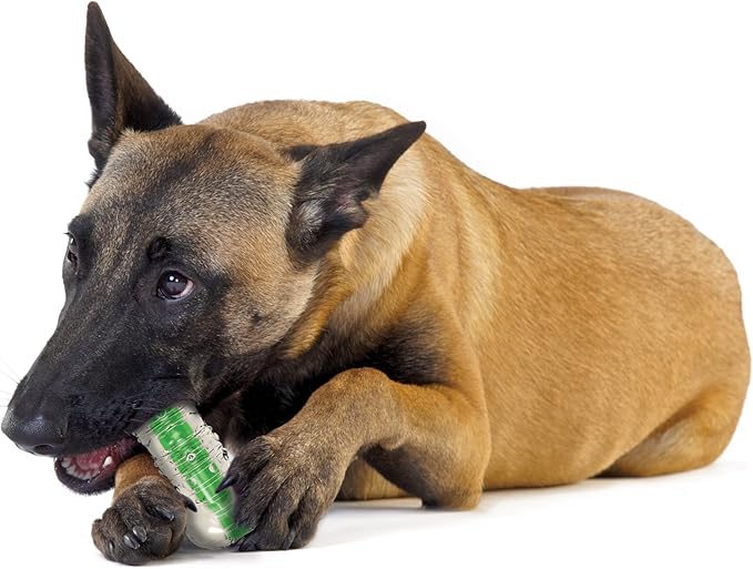 Petstages Crunchcore Bone Water Bottle Alternative Dog Chew Toy, Medium (Pack of 2)
