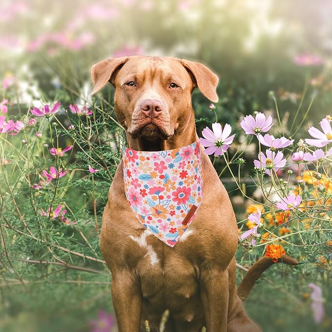 ADOGGYGO Floral Dog Bandana 2 Pack, Reversible Pink Daisy Puppy Scarf Bib, Adjustable Fit Cute Flower Bandanas for Small Dogs Pets (Small)