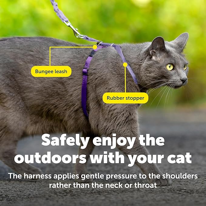 PetSafe Come With Me Kitty Cat Harness & Bungee Leash - Comfortable Cat Harness with Lightweight Bungee Leash for Outdoor Fun - More Secure Walks - Small - Lilac