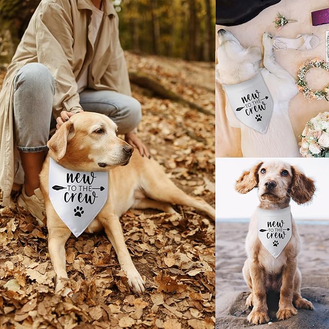 New to The Crew Dog Bandana New Puppy Announcement Gift for New Owners Puppy Bandana Dog Owner Gifts Triangle Bibs Scarf Accessories for Small Medium Dogs Pets