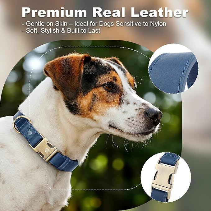 Plutus Pet Genuine Leather Dog Collar – Adjustable Pet Collar with Quick Release Metal Buckle, Soft Real Leather for Small Medium Large Dogs, Heavy Duty & Skin-Friendly (Royal Blue, XS)