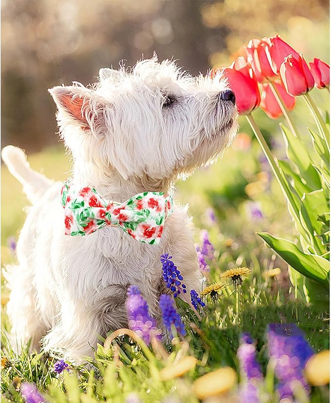 Lionheart glory Dog Collar Bow Collar Floral Dog Collar with Bow Tie Spring Summer Cute Collar Dog Boy or Girl Dog Collars Soft Durable Adjustable Dog Collars for Medium Dogs