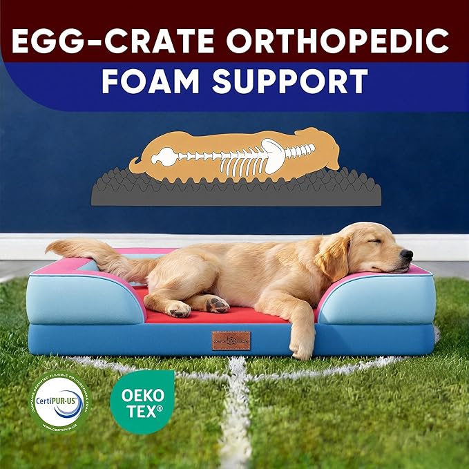 Comfort Expression Orthopedic Dog Bed for Large Dogs 36x27 Inch, Waterproof Egg Crate Foam Large Pet Bed with Removable Bolsters, Dog Couch with Washable Cover & Non-Slip Bottom, Atlanta