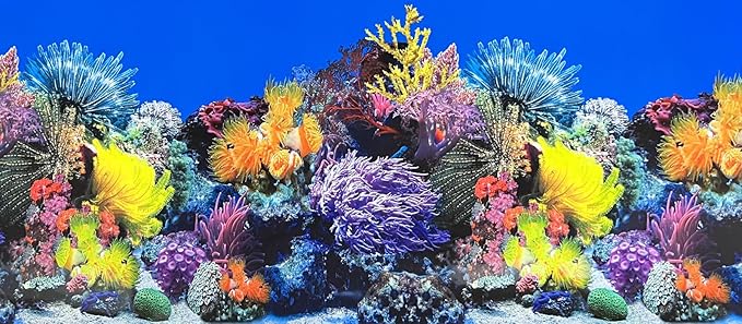 Fish Tank Background Sea Anemone Coral Theme Aquarium Background Poster Fish Backdrop for Aquarium Wallpaper Double-Sided Fish Tank Sticker Paper