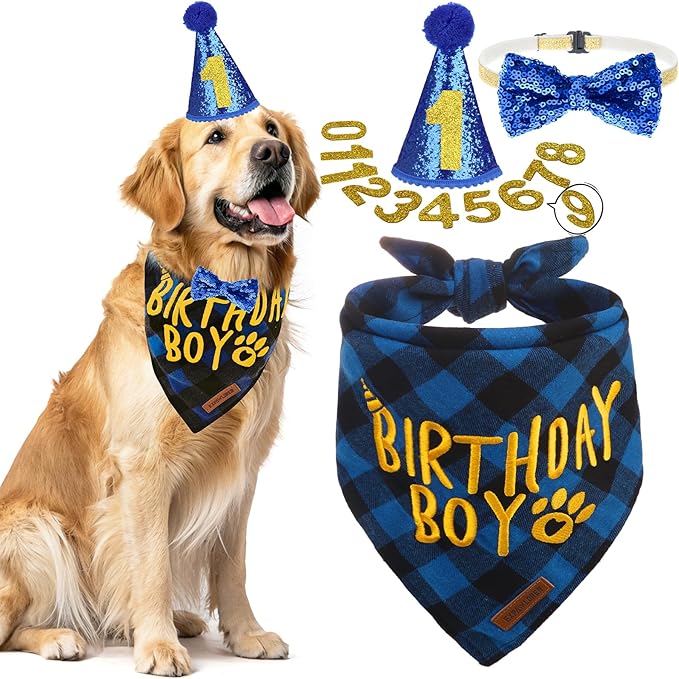 EXPAWLORER Dog Birthday Party Supplies - Dog Birthday Bandana Scarf and Party Hat with Numbers Boy Girl Pet Bow Tie, Cute Outfit for Small Medium Large Dogs (X-Large)