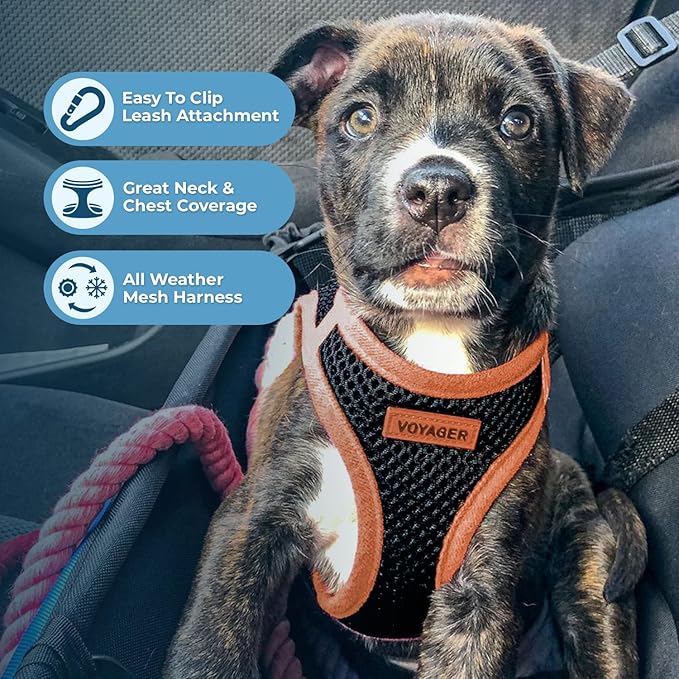 Best Pet Supplies Voyager Step-in Air All Weather Mesh Harness and Reflective Dog 5 ft Leash Combo with Neoprene Handle, for Small, Medium and Large Breed Puppies - Black/Orange Trim, X-Large