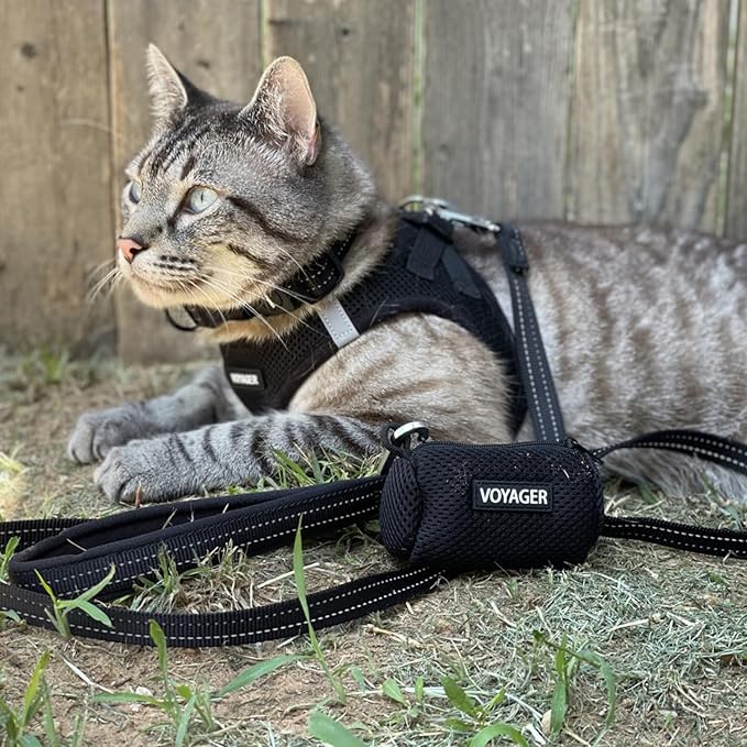 Best Pet Supplies Voyager Step-in Air All Weather Mesh Harness and Reflective Dog 5 ft Leash Combo with Neoprene Handle, for Small, Medium and Large Breed Puppies - Set (Black), L