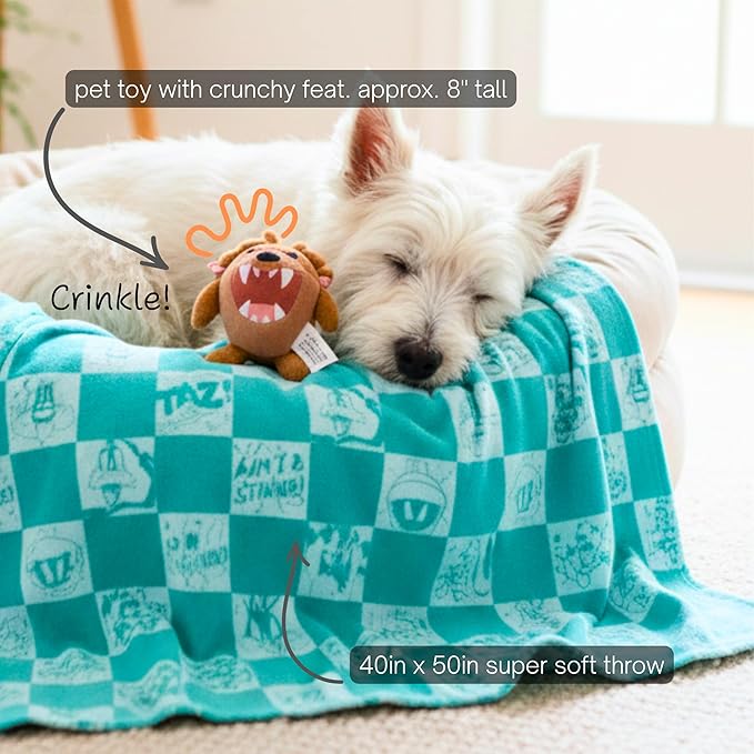 Looney Tunes Taz Tasmanian Devil Pet Throw & Pet Toy Pillow Set - 40in x 50in Super Soft Cozy Throw Blanket for Dogs & Cats - Couch/Bed/Car, (Officially Licensed Product) by Franco Pet