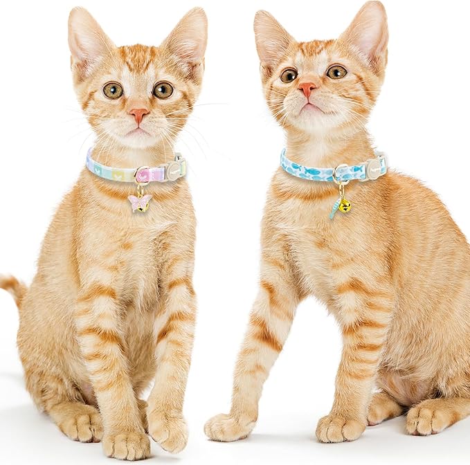 Faygarsle 2 Pack Plaid Butterfly Fish Pattern Cat Collars Breakaway Safety Collar with Bell Spring Summer Design for Girl Cats,Blue Multicolor