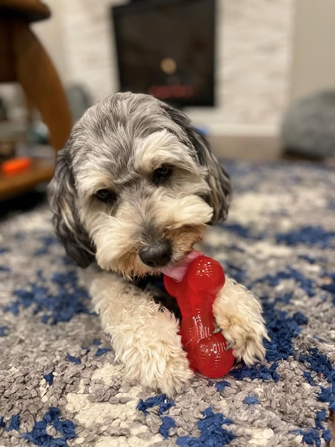 SPOT Play Strong Bone- Durable TPR Long Lasting Dog Chew for Aggressive Chewers, Hole for Treats, Virtually Indestructible Toy for Small and Medium Dogs & Puppies - 4.5 inch