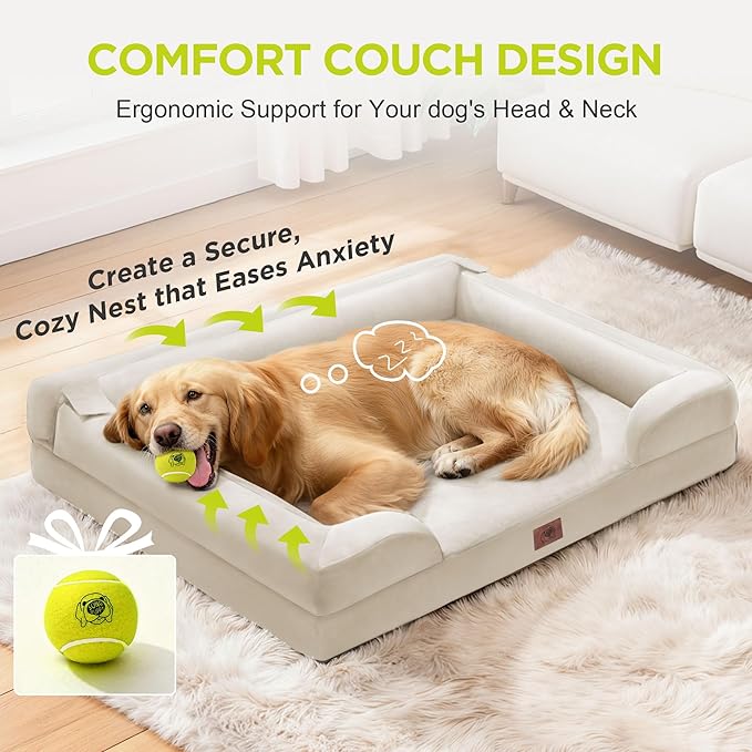 Orthopedic Dog Beds for Large Medium Dogs, Big Waterproof Memory Foam Pet Couch Bed with Removable Washable Cover, Tennis Ball Toy, 36x27