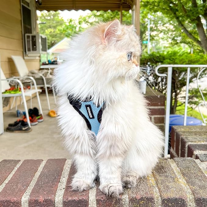 Voyager Escape-Proof Step-in Lock Cat Harness & 5ft Neoprene-Handle Leash Set All-Weather Mesh with Reflective Stitching for Small to Large Cats by Best Pet Supplies, Baby Blue/Black Trim, S