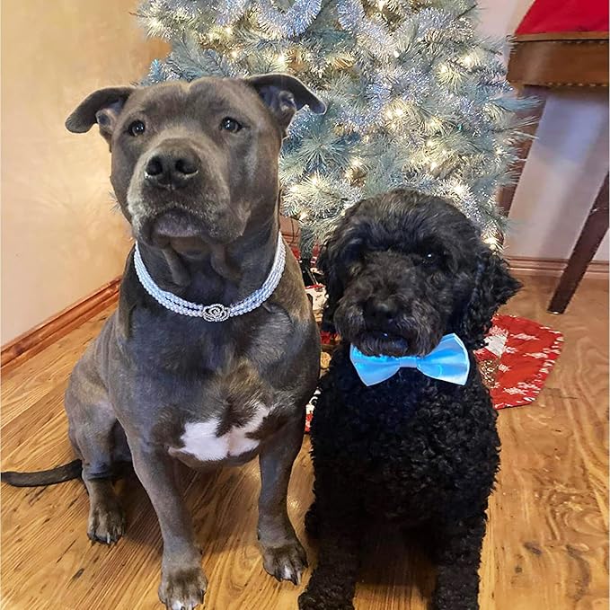 KOOLMOX Light Blue Dog Bow Tie, Black Dog Bowties with Adjustable Collar for Medium Large Dogs Cats Pets Wedding Birthday Graduation Independence Day Homecoming Grooming, 2 Pack, Black and Light Blue