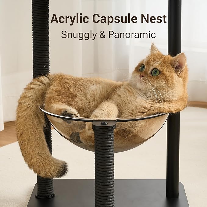 Modern Cat Tree Tower for Indoor Cats up to 12lbs, 34" H Furniture-Style Metal Cat Tower with Scratching Posts, Wood Cat Bed with Soft Plush Cushion Washable, Acrylic Capsule, Classic Black