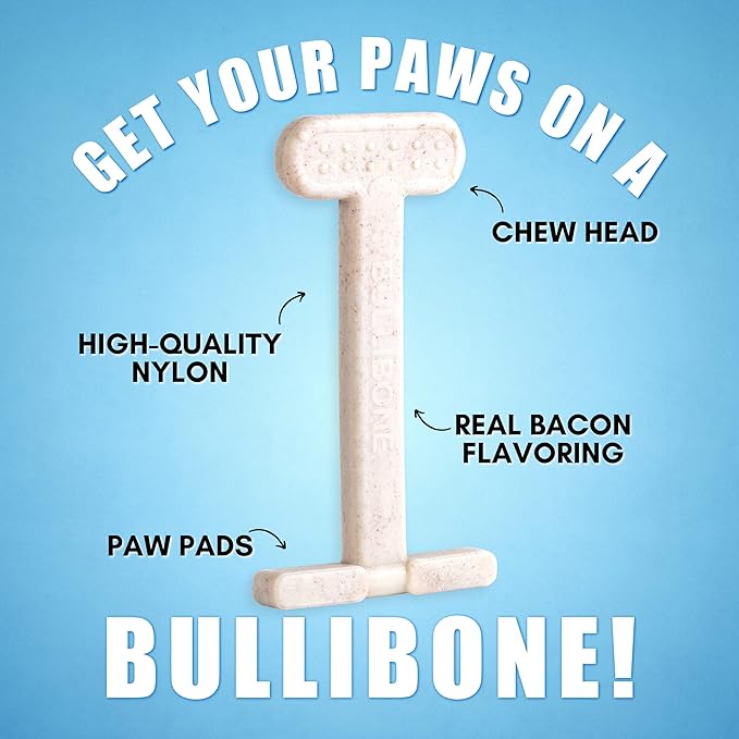 Bullibone Nylon Dog Chew Toy for Aggressive Chewers - Dental Hygiene Bone with Bacon Flavor, Durable Tough Chew Toys for Small Dogs, Indestructible Dog Bone - 3 Pack
