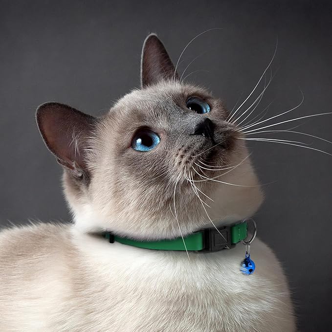 Breakaway Cat Collar with Bell - Leather Adjustable Kitten Collars with Safety Quick Release Buckle - Soft Small Pet Collars for Girl & Boy Cats (Green)