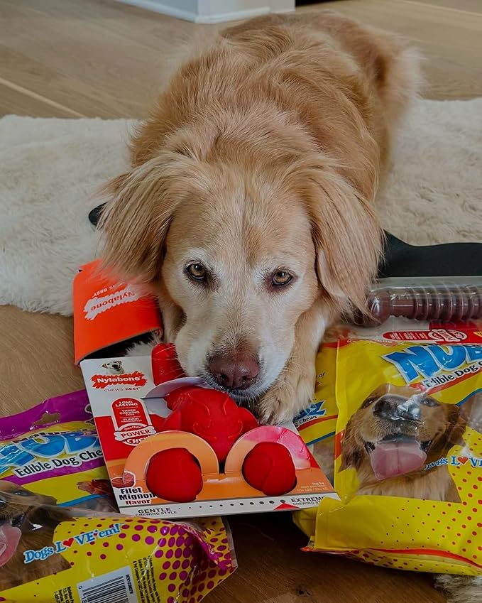 Nylabone Textured Dental Bone Power Chew Toy for Dogs, Dog Toys for Aggressive Chewers, Flavor Medley Flavor, X-Large - 50+ lbs, 1 Count