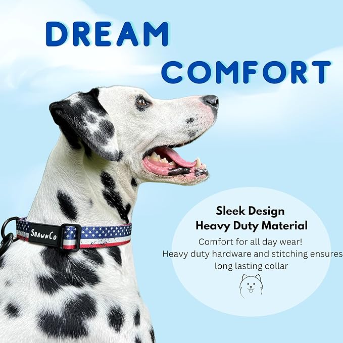 ShawnCo Dream Walk Dog Collar- Premium, Adjustable and Comfortable Pet Collar for Small, Medium, Large and Extra Large Dogs (L, Montana Daydream)