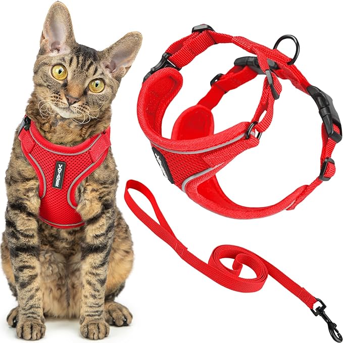 Voyager Escape-Proof Step-in Lock Cat Harness & 5ft Neoprene-Handle Leash Set All-Weather Mesh with Reflective Stitching for Small to Large Cats by Best Pet Supplies, Red (327), XXXS