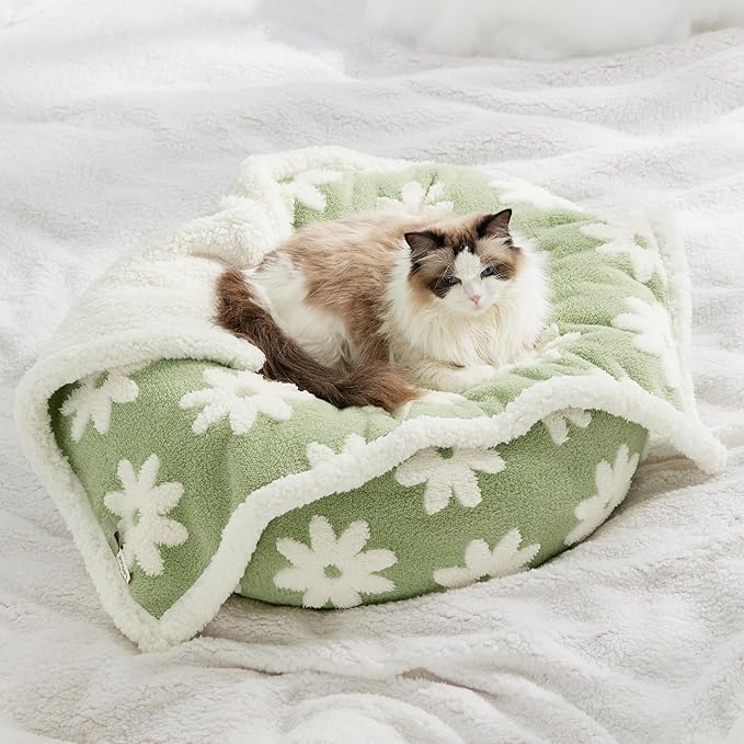 LE SURE Waterproof Puppy Blanket for Small Dogs - Washable Double Sided Dog Blankets with Warm Jacquard Shag and Soft Sherpa Fleece, Pet Cat Blanket for Couch Protection, 3D Textured Cloud, Green