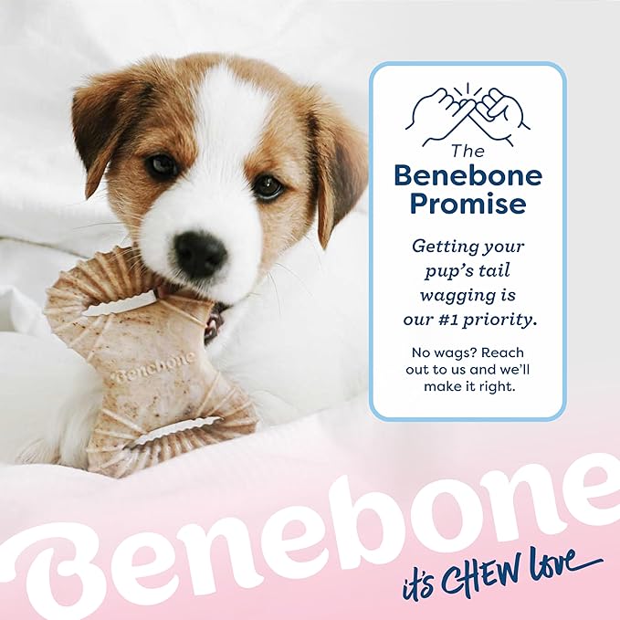 Benebone Puppy 2-Pack Dental Chew/Wishbone Real Chicken Small