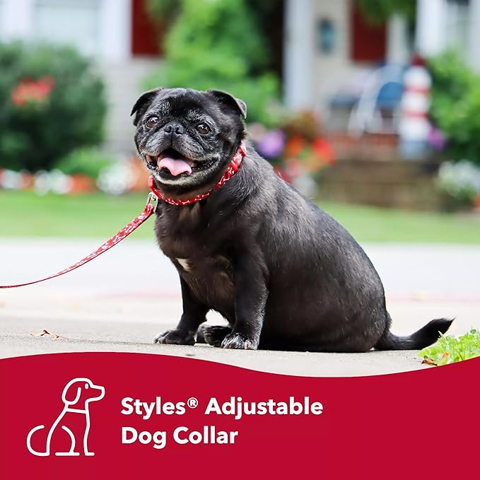 Coastal Pet Styles Adjustable Dog Collar - Stylish Patterned Fabrics - Snap-Lock Buckle - Adjustable Dog Collar - for Small, Medium or Large Dogs - Pink Dots - 3/8" x 08"-12"
