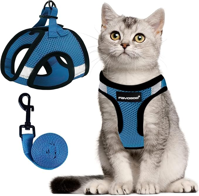 FAYOGOO Cat Harness, Cat Leash and Harness Set for Walking Escape Proof, Harness for Small Cats/Small Dogs, Large Kitten/Puppy Harness and Leash, Harness for Cats S-XXL(Tranquil Teal, X-Large)