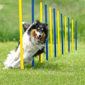 Pet Prime Dog Agility Training Equipment for Dog Obstacle Course Backyard 12pcs Weave Poles Slalom Set Portable Dogs Park Exercise Tool