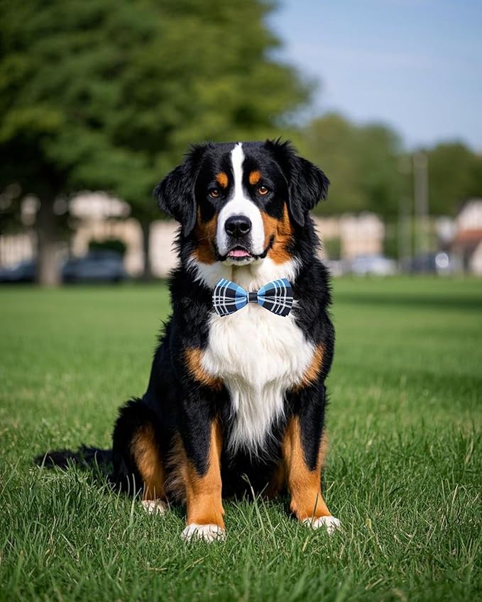 PET SHOW 8 Pack Plaid Big Dogs Collar Bow Ties for Medium Large Dogs Collar Charms Accessories Slides Attachment Bowties for Birthday Wedding Parties Assorted