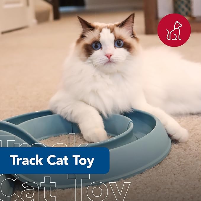 Coastal Pet Turbo Track Cat Toy - Cat Ball Toy & Racetrack - Easy Assembly - Slate Blue (1 Pack)