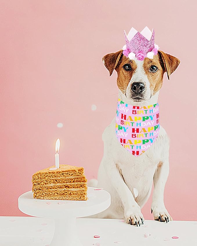 PET SHOW Pink Crown Hat Dog Birthday Party Supplies for Girls Female Pets Small Medium Large Dogs Cats Birthday Hat and Plaid Bandana with 0-9 Numbers and Glue