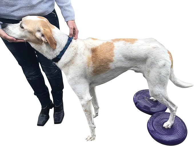 Dog Balance Disc Cushion 14" - With 2 Exercises and Pump - Dog rehab Exercise Strength Endurance Conditioning Fitness Flexibility Rehabilitation Physical Training Tool for Senior Dogs