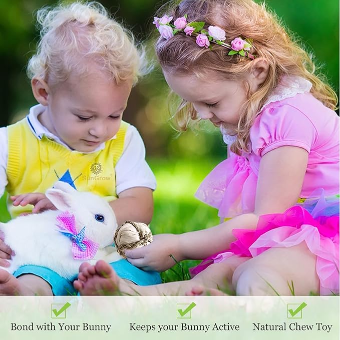 SunGrow Assorted Rabbit & Cat Chew Balls, Teething Activity Toy for Pocket Pets, Improves Dental Health, Environment Friendly, Stress Reliever (Corn Leaf, 6 Pcs)