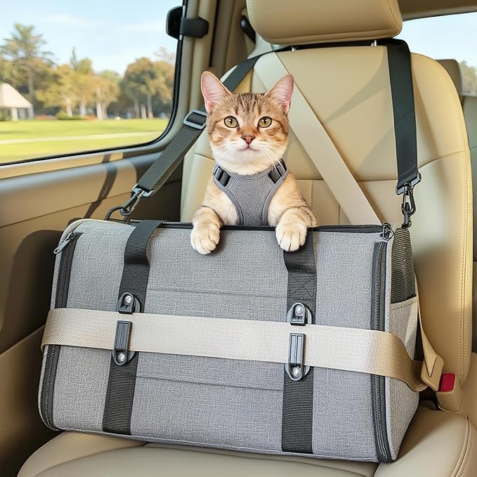 PETSFIT Large Cat Car Carrier with Patented Safety Buckles(19 x 12 x 12) – Roomy Escape-Proof for Safe Driving, Lockable Zippers & Safety Tether, Soft-Sided Travel Carrier for Road Trips & Vet Visits