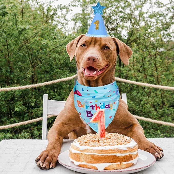 Dog Boy Girl Birthday Party Hat, Dog Birthday Party Supplies, Birthday Bandana Set with Numbers for Gaint and Extra Large Dogs (Blue)