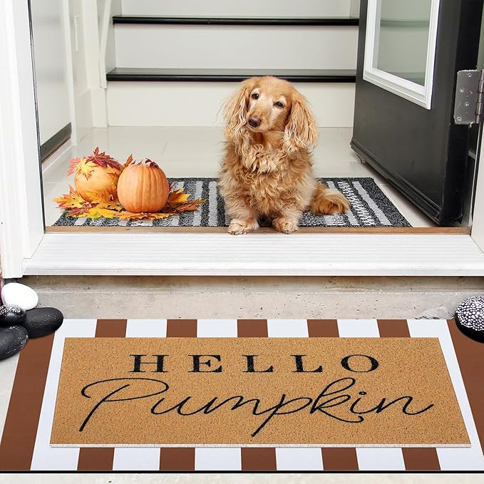 Tinideya 2 Pcs Door Mat Welcome Non Slip Coir Mats Floor Layering Doormats Seasonal for Front Porch Entryway Decor(Brown White)