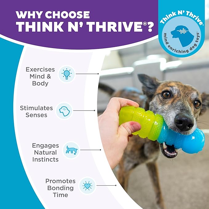 Outward Hound Gummiez Worm Dog Toy & Treat Stuffer, 6″ x 2″ Cherry-Scent Interactive Chew for Dogs, Helps Clean Teeth, Promote Healthy Gums & Mental Enrichment, Reduce Boredom & Support Dental Health