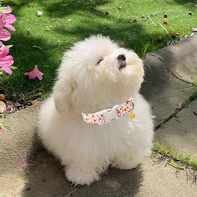 Floral Dog Collar, UP URARA PUP Colorful Floral Adjustable Pet Collar with Flower Charm, Spring Daily Dog Accessories for Small Medium Large Dogs