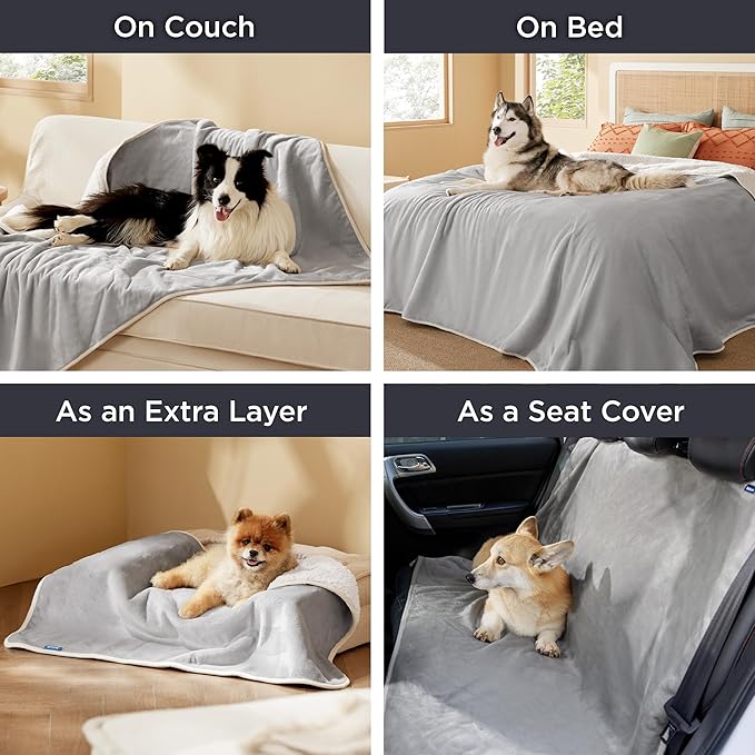 Bedsure Waterproof Dog Blankets for Small Dogs - Small Cat Blanket Washable for Couch Protection, Sherpa Fleece Puppy Blanket, Soft Plush Reversible Throw Furniture Protector, 25"X35", Light Grey