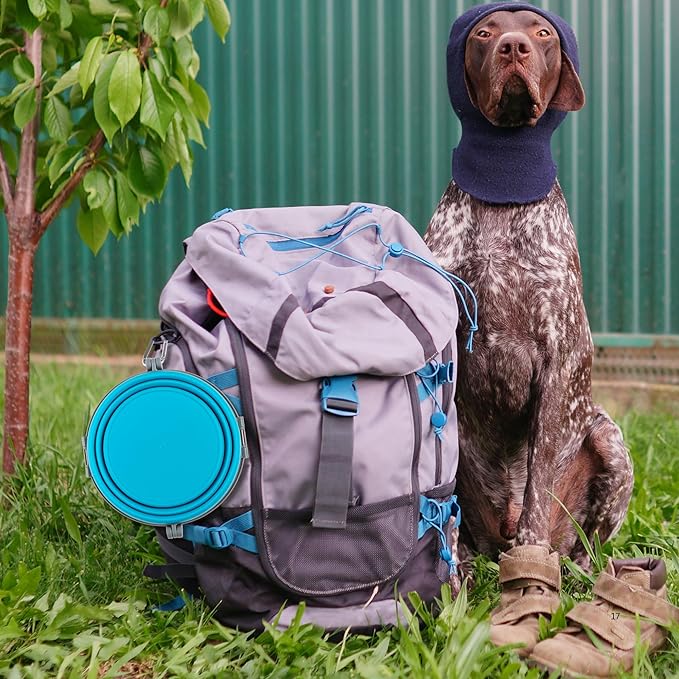 Loving Pets - Bella Roma Portable Travel Dog Bowl Collapsible Dog Food & Water Bowl (Blue, Large)