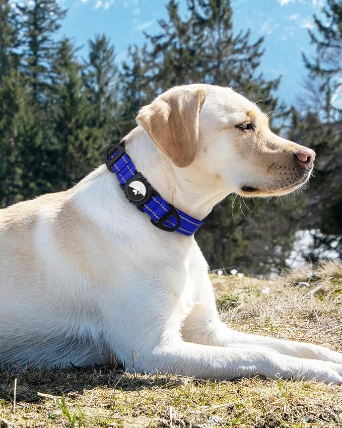 Joytale Airtag Dog Collar, Reflective Pet Collar with Waterproof AirTag Holder, Dual D-Rings, Soft Padded Adjustable for Medium Dogs, Navy Blue, M