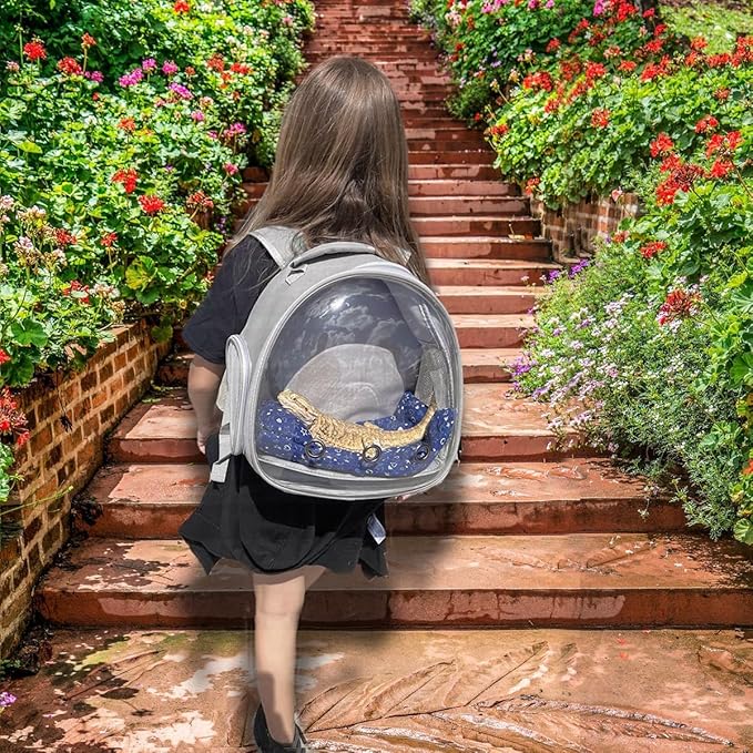 Bearded Dragon Carrier Backpack with Security Printing Harness Set, Reptile Lizard Travel Carrier (Black, Mommy Harness)
