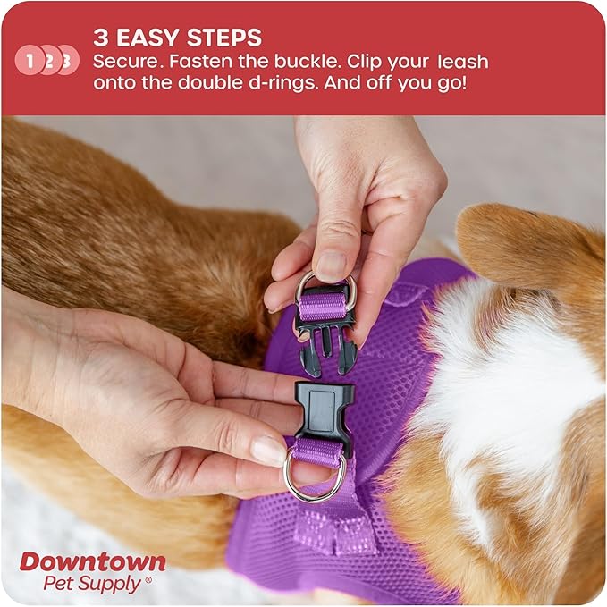 Downtown Pet Supply Step-in Dog Harness – No Pull, Adjustable Padded Mesh with Reflective Trim, Secure Buckle Strap – Comfortable & Breathable Small Dog Harness, Large, Purple